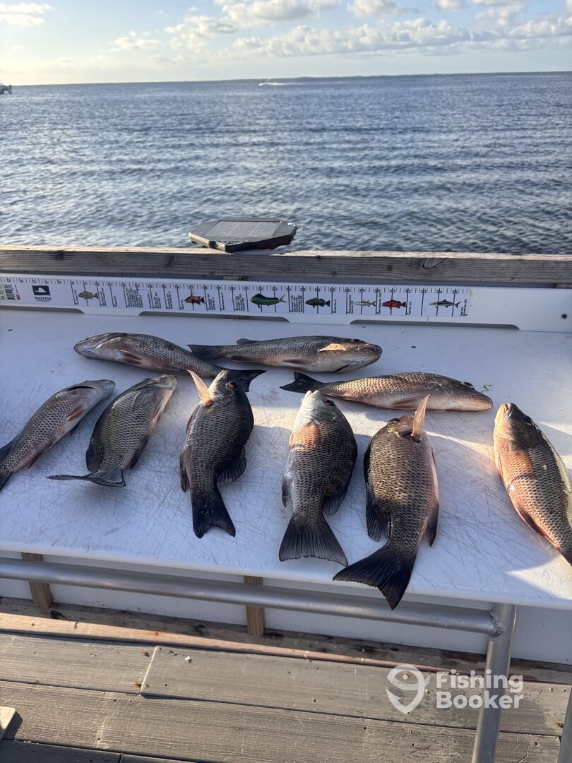 Upper Keys Report Photo 0