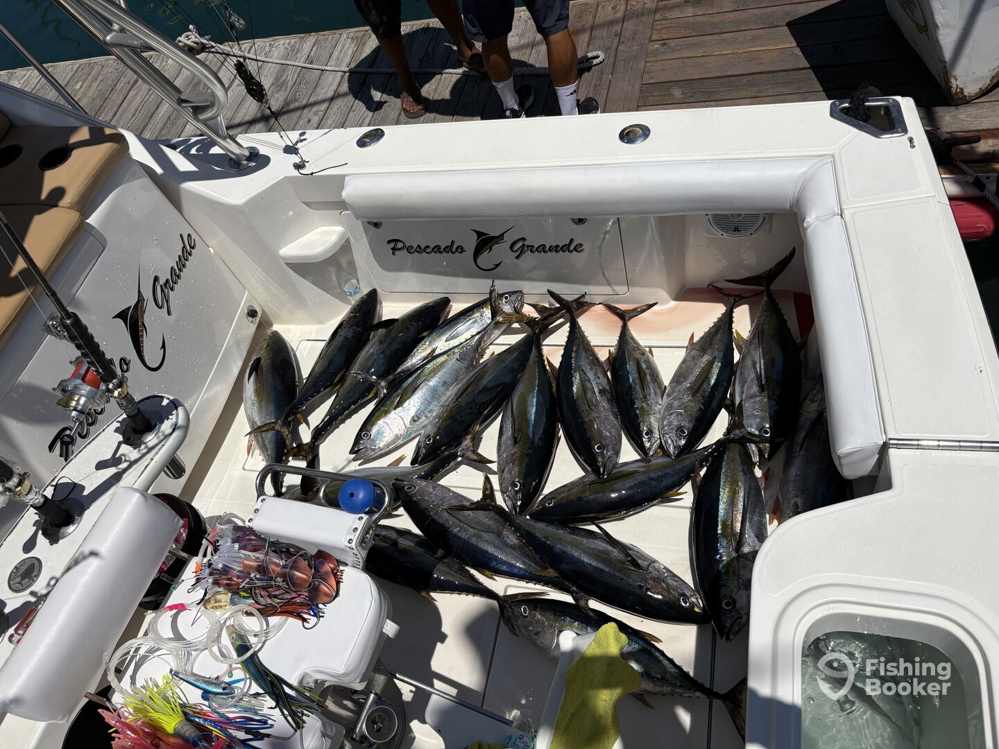 Cabo San Lucas Report Photo 0