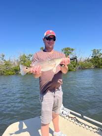 Southwest Florida Report Photo 4