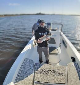 Spring is in the air