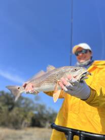 Wilmington Island Report Photo 4