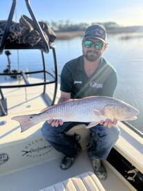 Savannah Report Photo 1