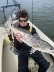 Georgia Report Photo 2