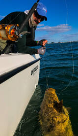 Anna Maria Report Photo 1