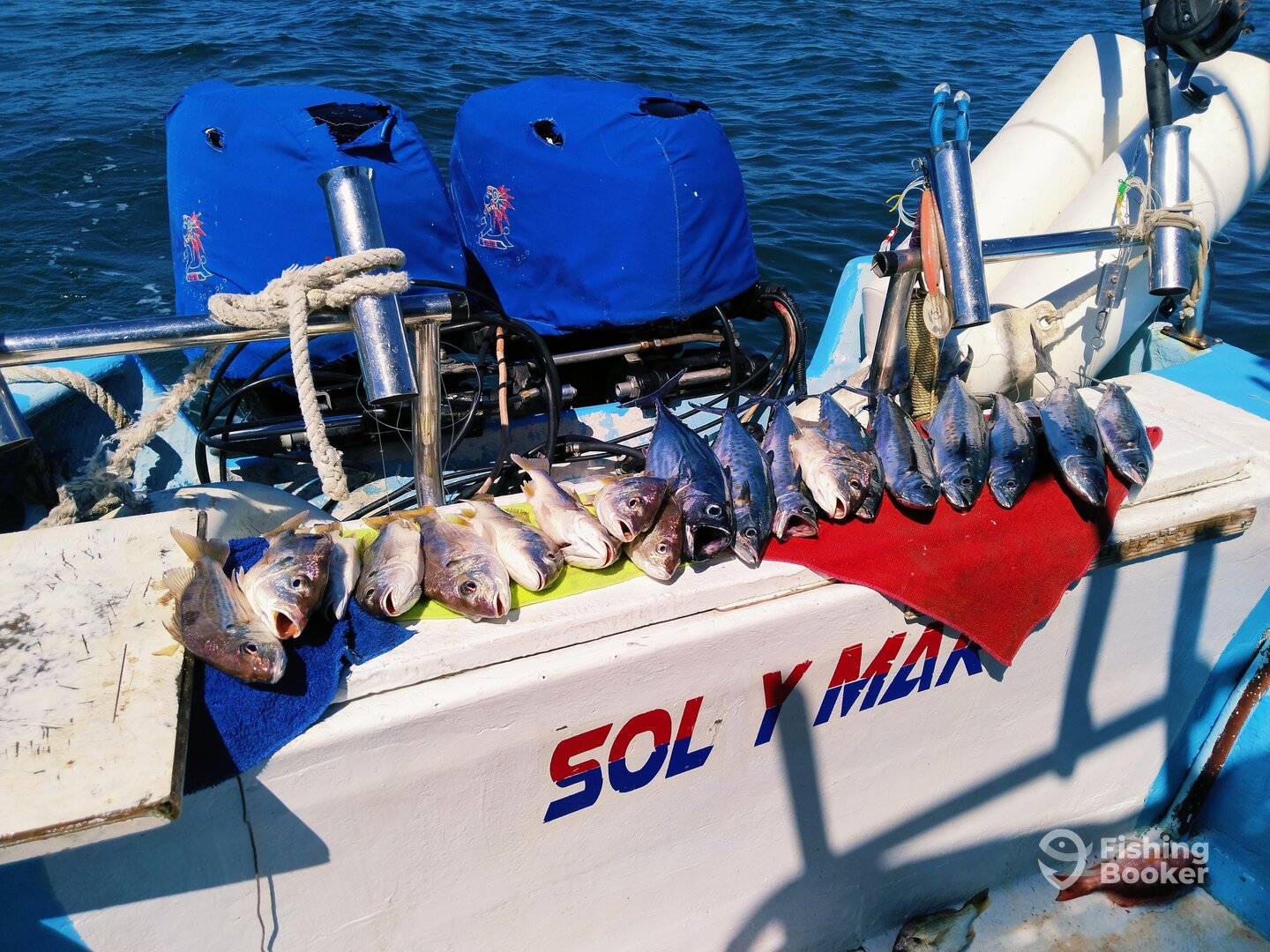 Mexico Report Photo 0