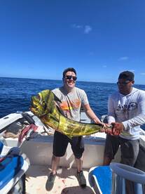 Puerto Vallarta Report Photo 2