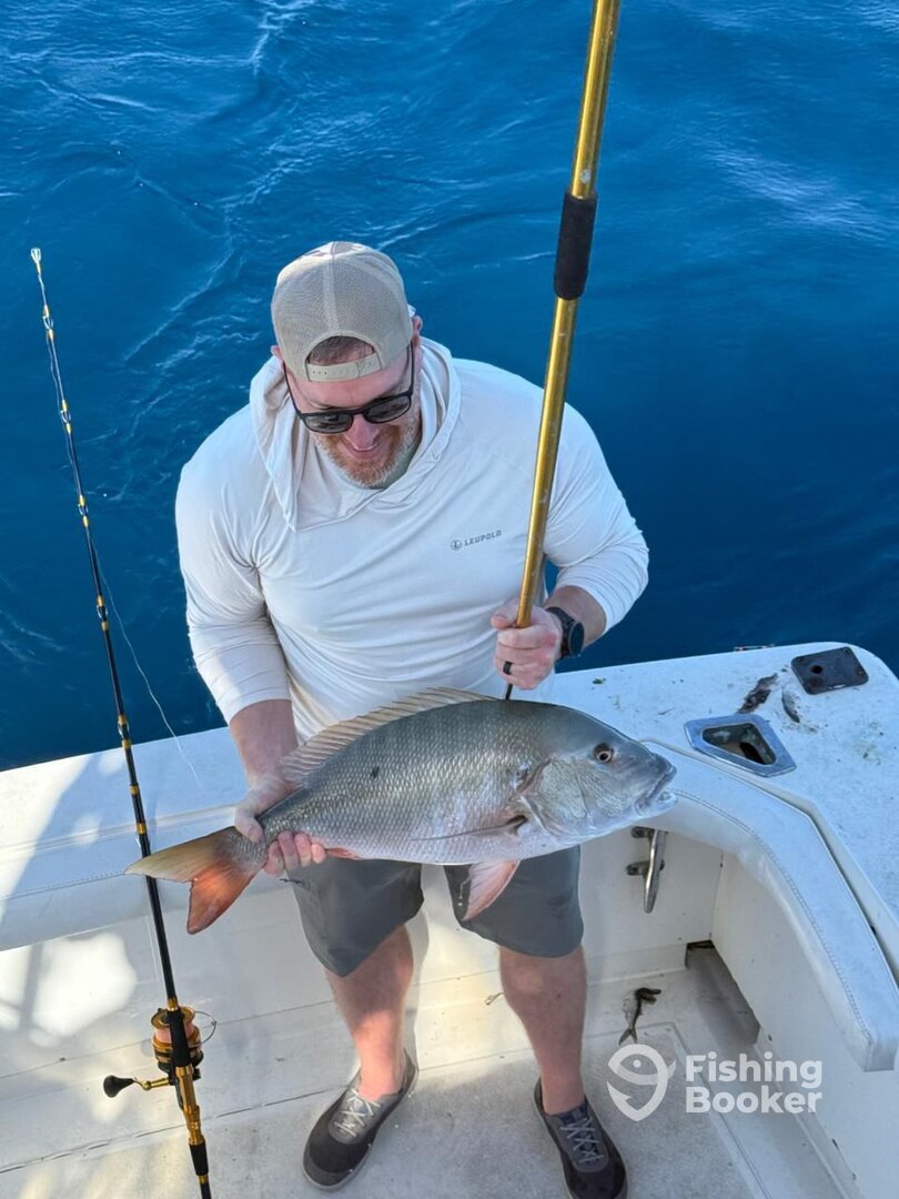 Puerto Aventuras Report Photo 0