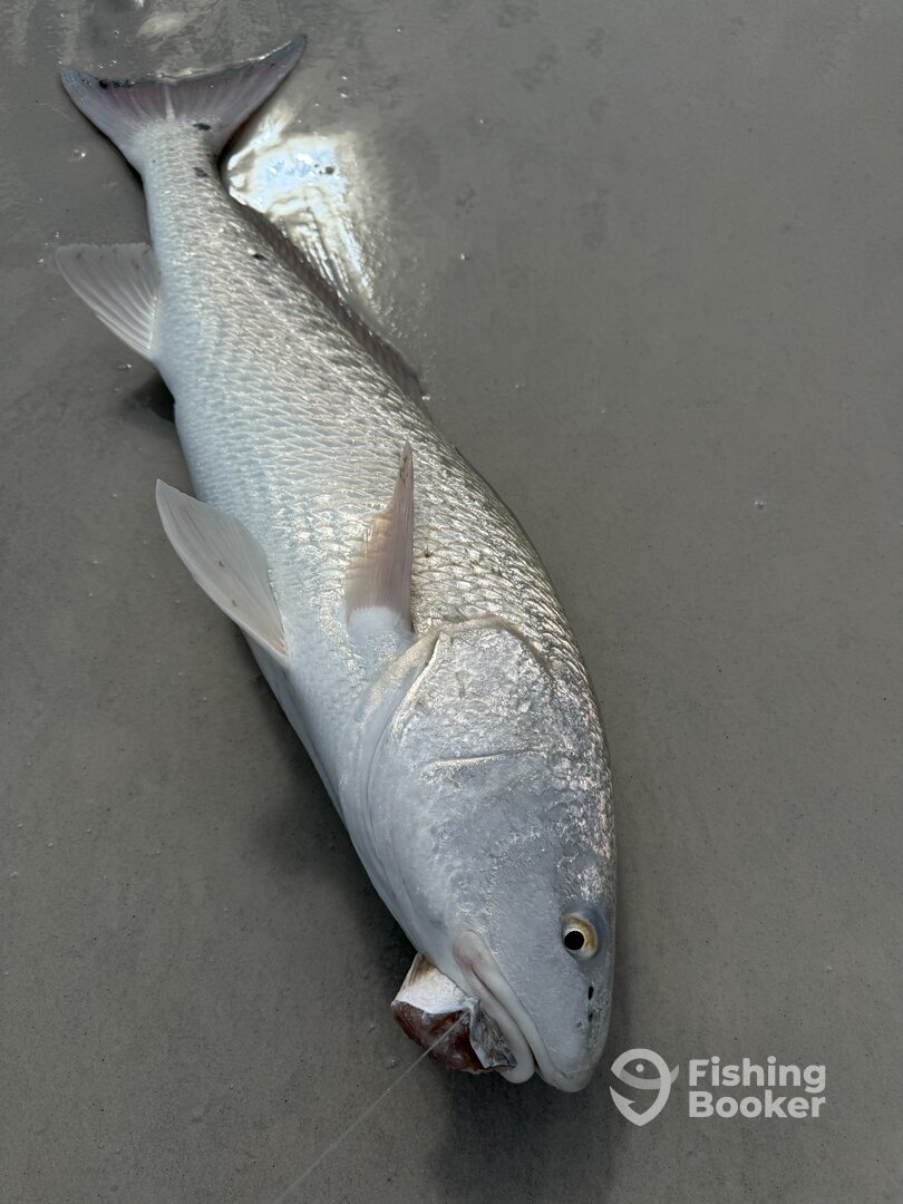 Choctawhatchee Bay Report Photo 0