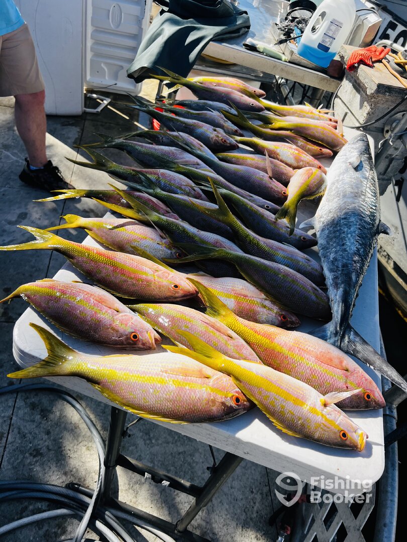 Miami-Dade County Report Photo 0