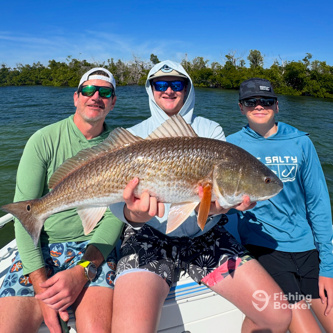 Lee County Report Photo 0