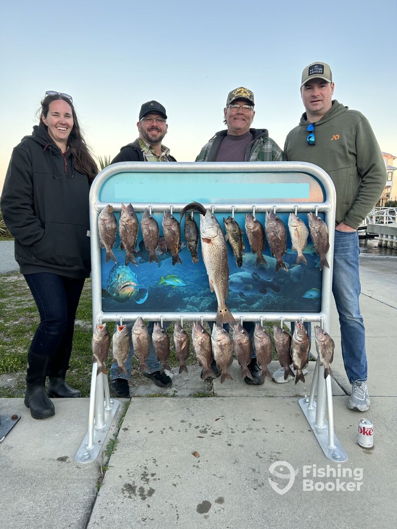 Apalachicola Report Photo 0