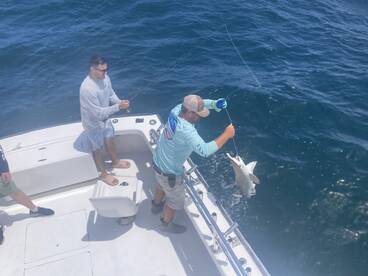Outer Banks Report Photo 1