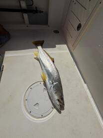 Panama City Report Photo 2