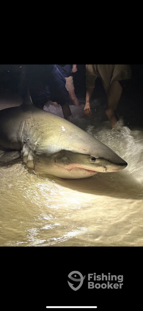 Destin Report Photo 0