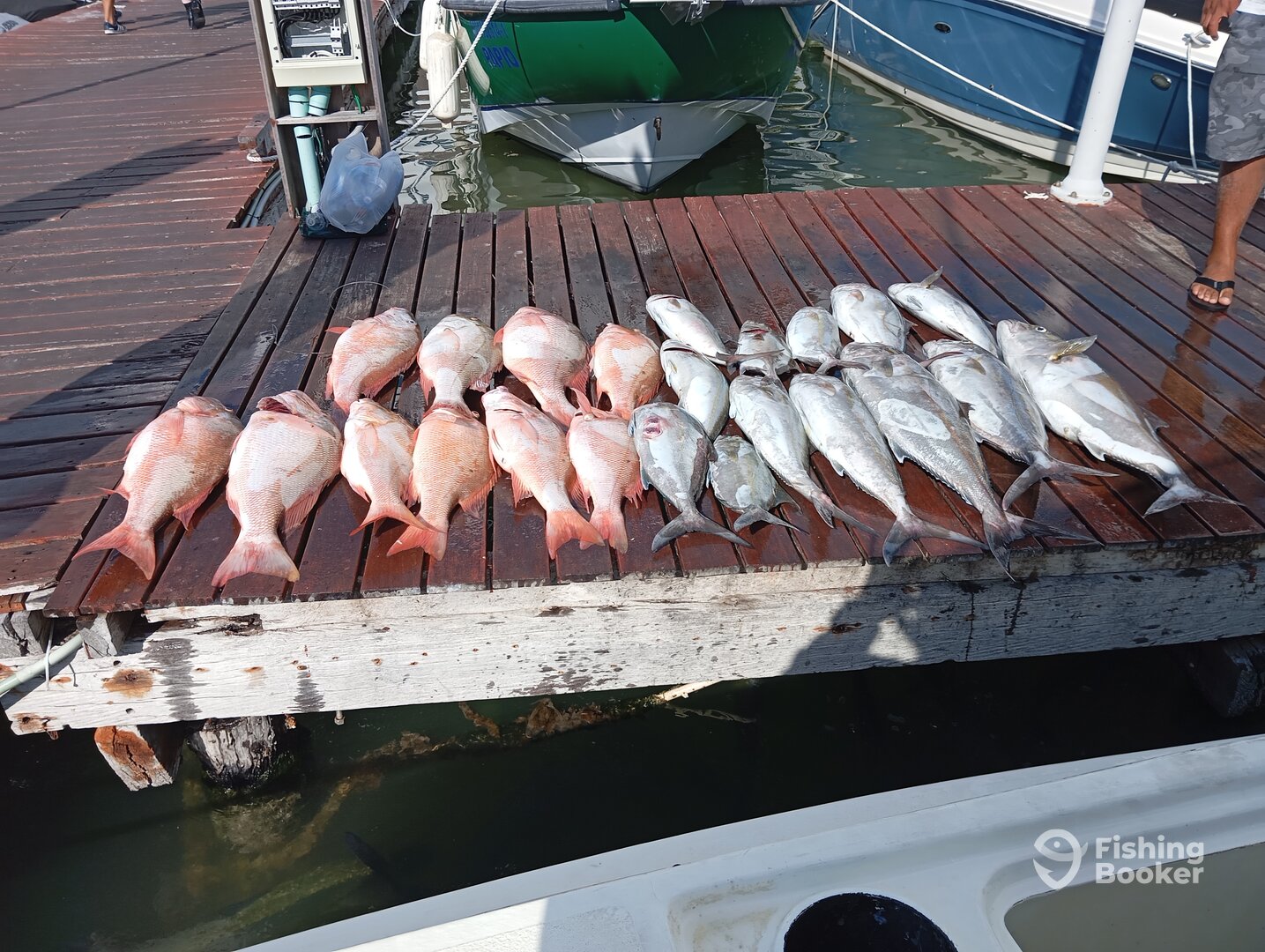 Cancún Report Photo 0