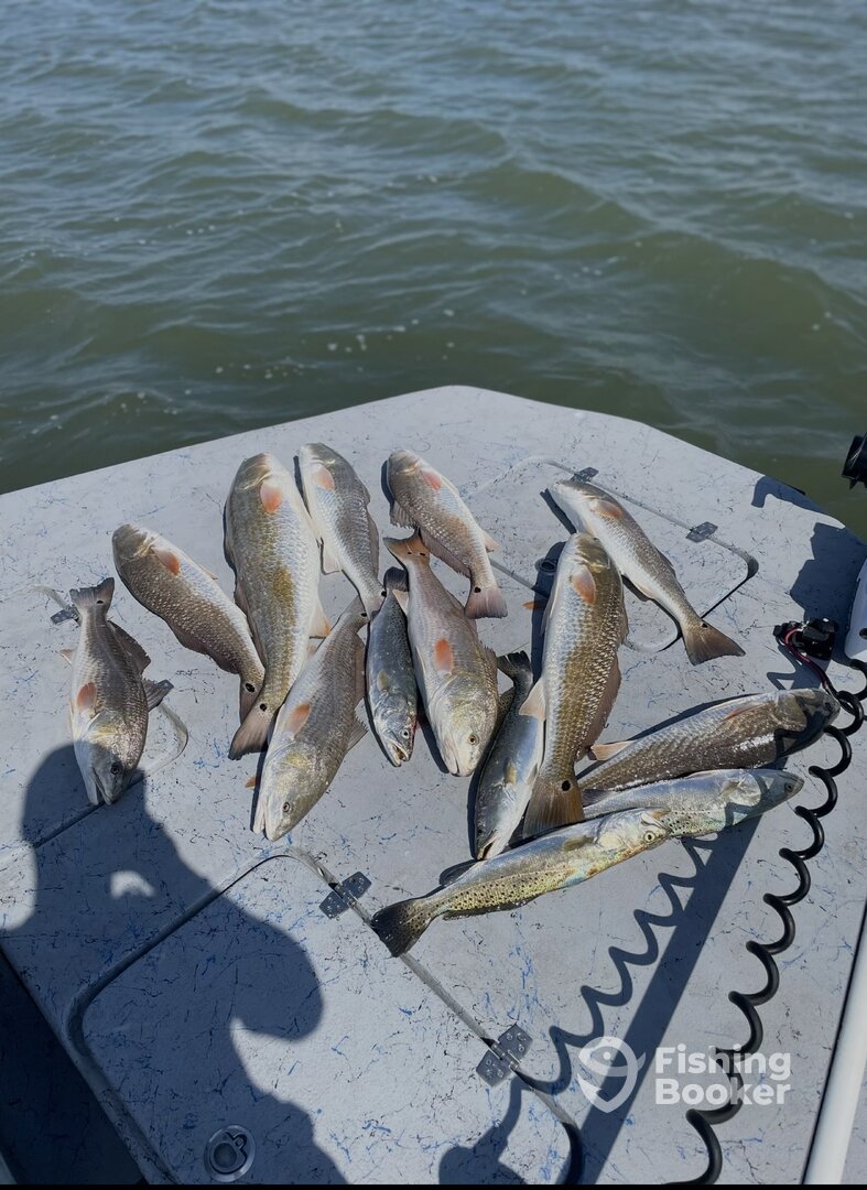 Rockport Report Photo 0