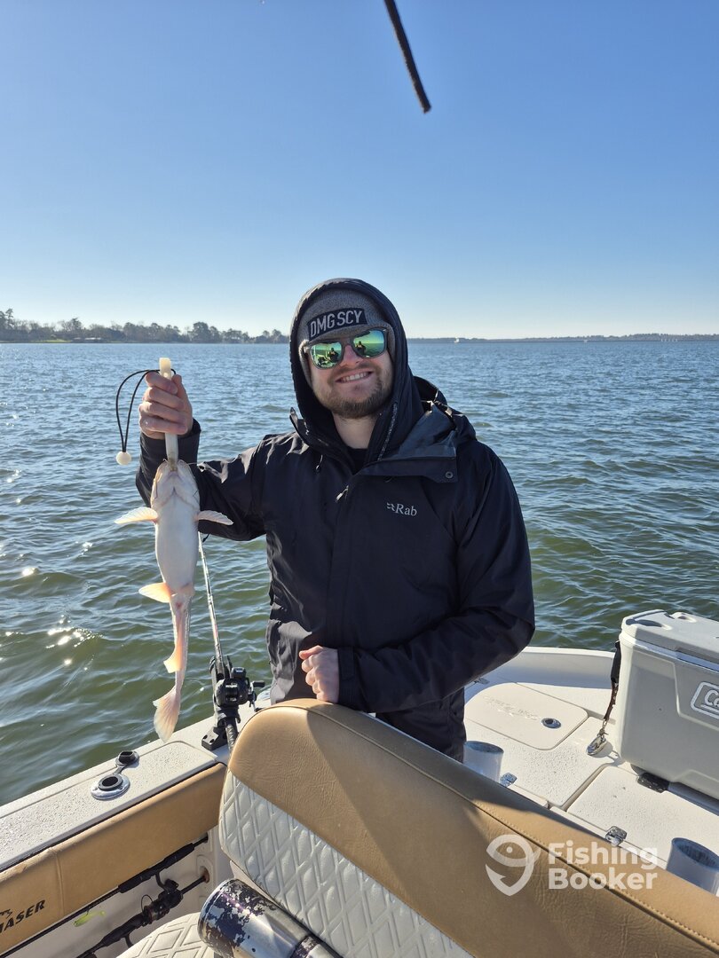 Willis Report Photo 0