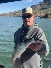 Lake Havasu City Report Photo 2