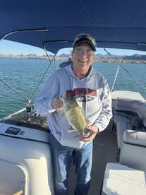 Arizona Report Photo 4