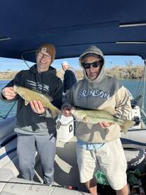 Arizona Report Photo 1