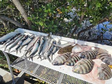 Treasure Coast Report Photo 3