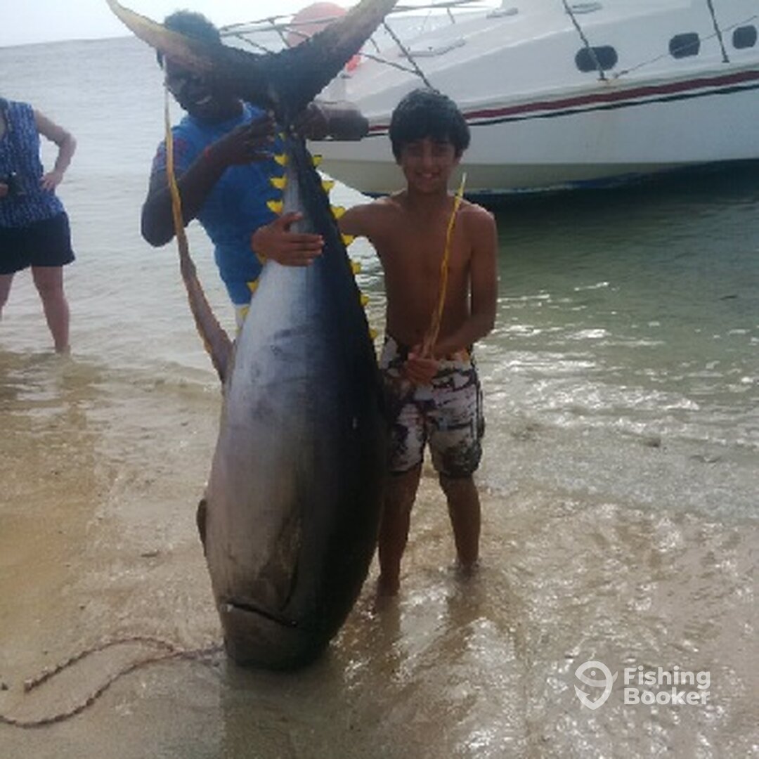 Balaclava Report Photo 0