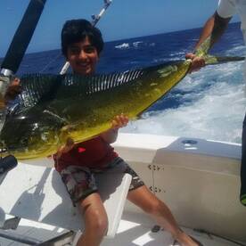 Balaclava Report Photo 1