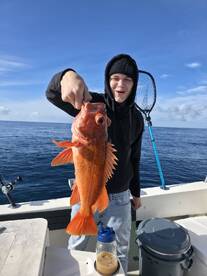 Pacific Coast Report Photo 2