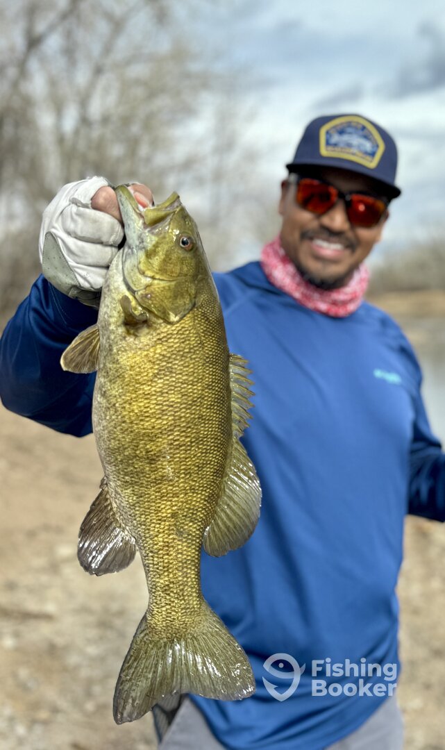 Denver Report Photo 0