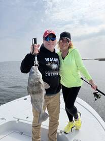 Flounder are eating!