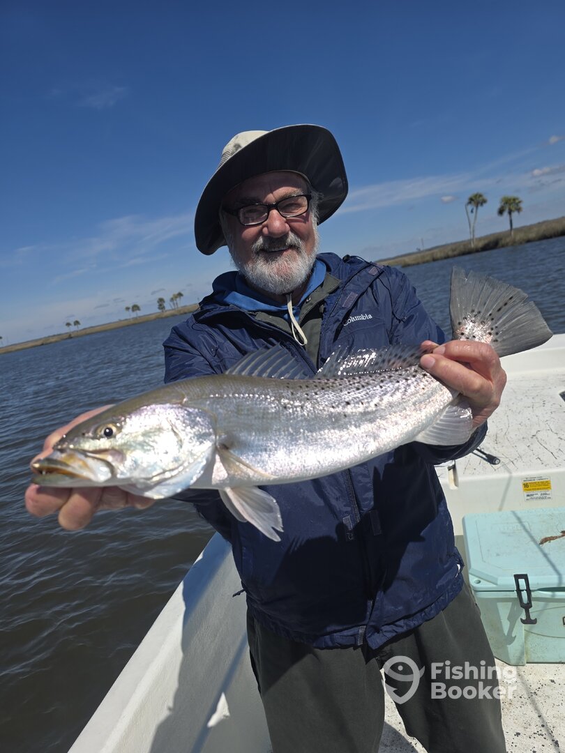 Cedar Key Report Photo 0