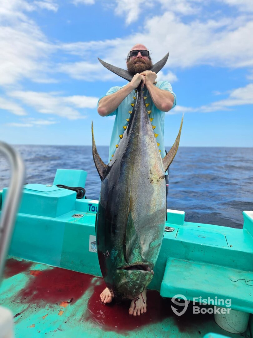 Sierpe Report Photo 0