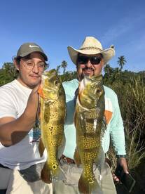 Toa Alta Report Photo 1