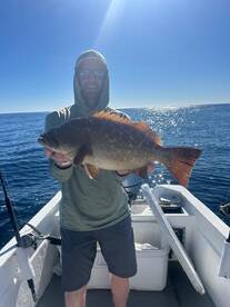 Los Cabos Report Photo 2