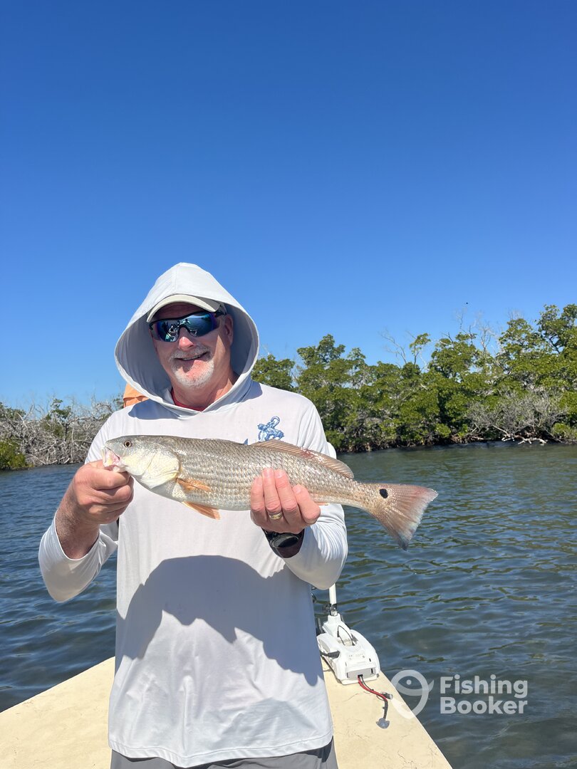 Punta Gorda Report Photo 0