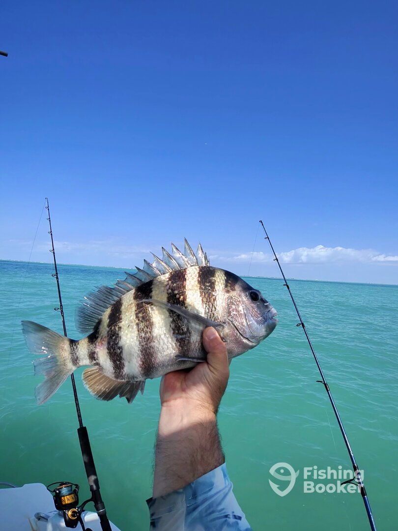 Lee County Report Photo 0