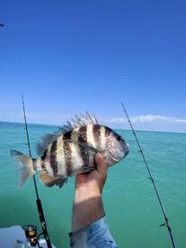 Fort Myers Beach Report Photo 1