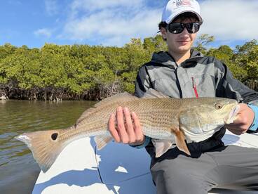 Lido Key Report Photo 4