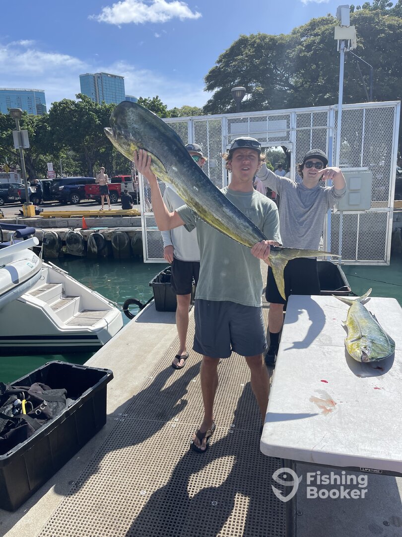 Honolulu Report Photo 0