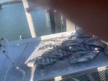 Lee County Report Photo 4