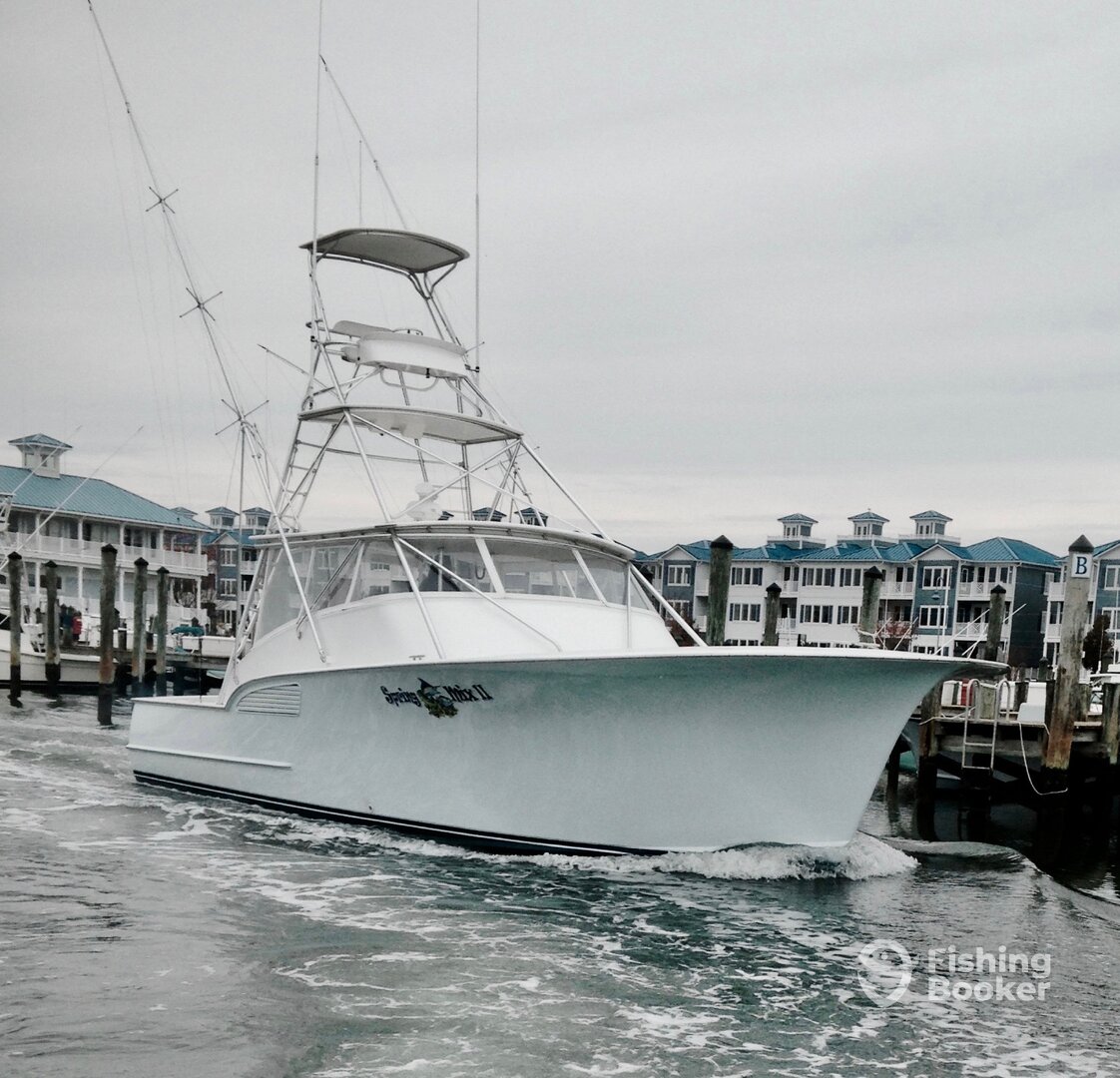 Islamorada Report Photo 0