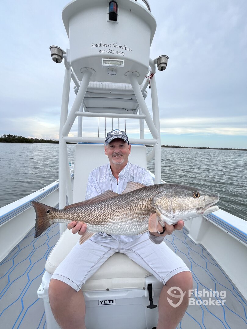 Lee County Report Photo 0