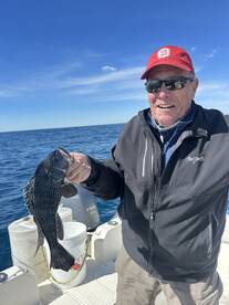 Sea Bass smackdown!!