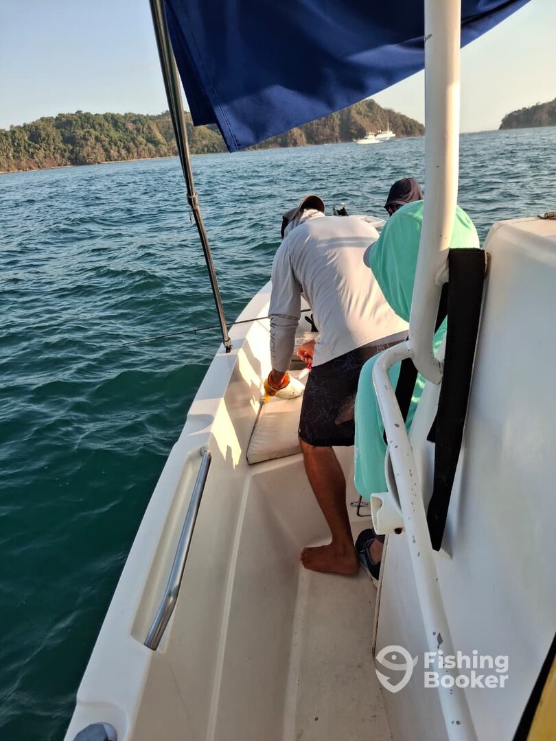 Herradura Report Photo 0