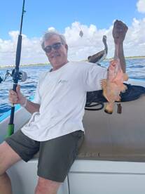 Snapper Action and a Pelican Visit