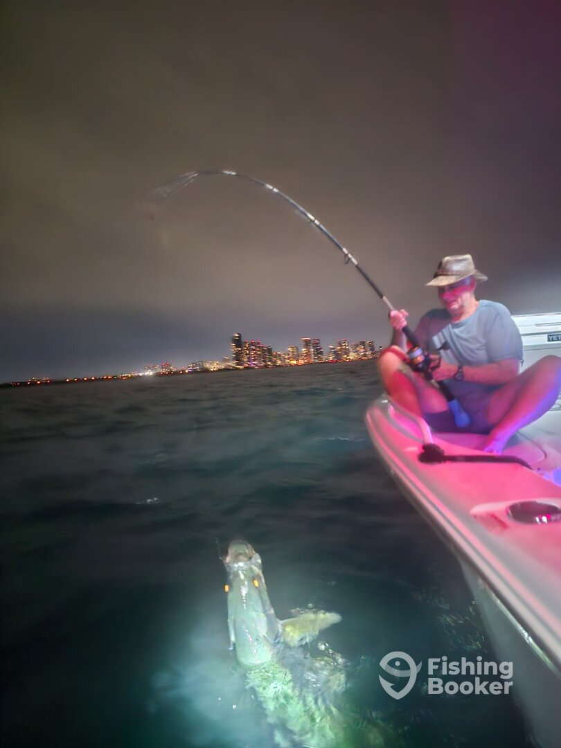 Miami Beach Report Photo 0