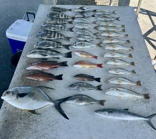 Treasure Coast Report Photo 4