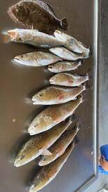 SPRING TIME FISHING ON FIRE 