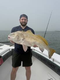 Galveston Report Photo 2