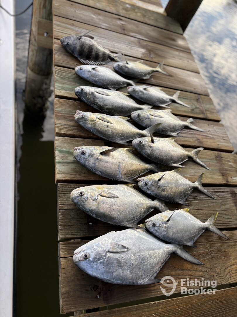 Port Orange Report Photo 0